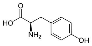 l-tyrosin-struktur