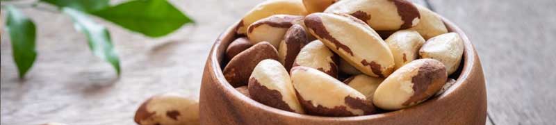 low-carb-nuesse-paranuss-brazil-nuts